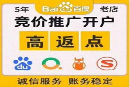 百度竞价广告与自然搜索排名的结合策略案例